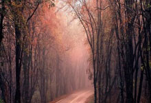 黑白体育：莱利会解雇斯波吗？阿里纳斯：莱利需要解雇的是他自己.