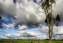 [图]勒沃库森3-2莱比锡 药厂18轮不败领先拜仁7分.