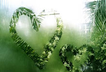 祝贺！举重世锦赛廖桂芳包揽三金人民日报客户端.