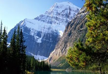 [冰雪]黑龙江省三队夺得混双项目金牌.