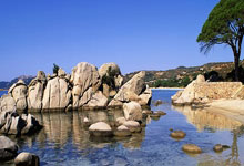 [NBA]常规赛3月26日：雷霆VS国王 亚历山大集锦.